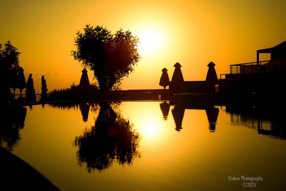 Against the sunrise in the background, a tree in the shape of a heart is reflected in the pool below it.