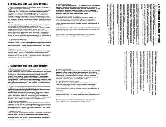 Image contains a bilingual flyer providing information and rights for individuals who may be detained by ICE (Immigration and Customs Enforcement) in the street. It outlines steps to follow and emphasizes the importance of knowing one's rights.