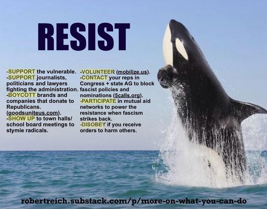 An orca whale is breaching out of the water against a clear blue sky. Overlaying the image is a list of actions to resist political oppression: 

-SUPPORT the vulnerable.
-SUPPORT journalists, politicians and lawyers fighting the administration. fascist policies and
-BOYCOTT brands and companies that donate to Republicans.
(goodsuniteus.com).
-VOLUNTEER (mobilize.us).
-CONTACT your reps in
Congress + state AG to block nominations (calls.org).
-PARTICIPATE in mutual aid networks to power the resistance when fascism strikes back.
-SHOW UP to town halls/ school board meetings to stymie radicals.
-DISOBEY if you receive orders to harm others.
robertreich.substack.com/p/more-on-
what-you-can-do