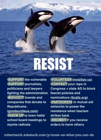 The image features two orcas breaching the water, set against a backdrop of mountains. It includes text that encourages activism with the header "RESIST" and lists actions:

-SUPPORT the vulnerable.
-SUPPORT journalists, politicians and lawyers fighting the administration. fascist policies and
-BOYCOTT brands and companies that donate to Republicans.
(goodsuniteus.com).
-VOLUNTEER (mobilize.us).
-CONTACT your reps in
Congress + state AG to block nominations (calls.org).
-PARTICIPATE in mutual aid networks to power the resistance when fascism strikes back.
-SHOW UP to town halls/ school board meetings to stymie radicals.
-DISOBEY if you receive orders to harm others.
robertreich.substack.com/p/more-on-
what-you-can-do