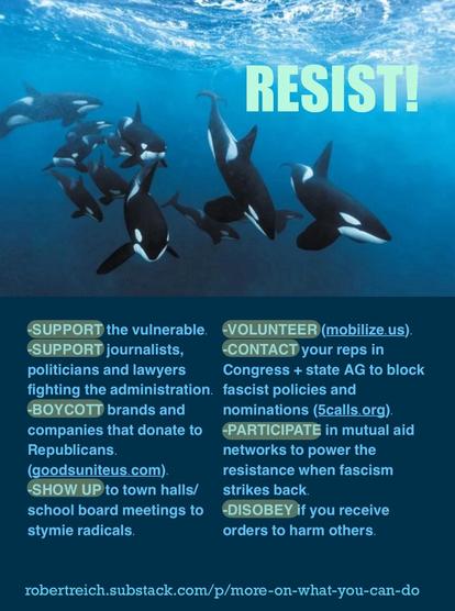 An underwater scene featuring a group of orca whales with the word "RESIST!" prominently displayed in light blue text. Below, a list of actions encouraging support:

-SUPPORT the vulnerable.
-SUPPORT journalists, politicians and lawyers fighting the administration. fascist policies and
-BOYCOTT brands and companies that donate to Republicans.
(goodsuniteus.com).
-VOLUNTEER (mobilize.us).
-CONTACT your reps in
Congress + state AG to block nominations (calls.org).
-PARTICIPATE in mutual aid networks to power the resistance when fascism strikes back.
-SHOW UP to town halls/ school board meetings to stymie radicals.
-DISOBEY if you receive orders to harm others.
robertreich.substack.com/p/more-on-
what-you-can-do
