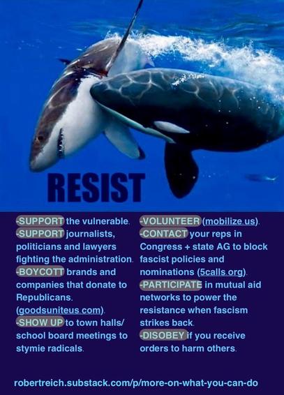An orca is depicted attacking a shark in a blue ocean background. Text overlays include the word "RESIST" and a list of actions:

-SUPPORT the vulnerable.
-SUPPORT journalists, politicians and lawyers fighting the administration. fascist policies and
-BOYCOTT brands and companies that donate to Republicans.
(goodsuniteus.com).
-VOLUNTEER (mobilize.us).
-CONTACT your reps in
Congress + state AG to block nominations (calls.org).
-PARTICIPATE in mutual aid networks to power the resistance when fascism strikes back.
-SHOW UP to town halls/ school board meetings to stymie radicals.
-DISOBEY if you receive orders to harm others.
robertreich.substack.com/p/more-on-
what-you-can-do