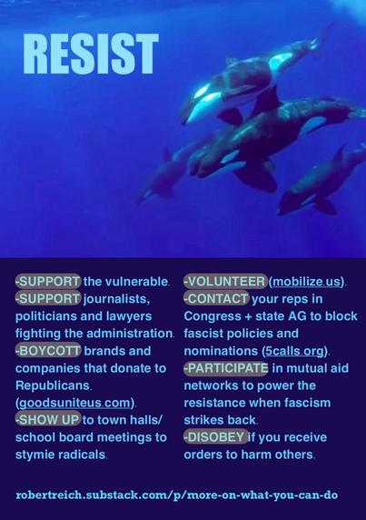 An underwater scene featuring orcas, accompanied by the word "RESIST" in large text. The image includes various activism suggestions: 

-SUPPORT the vulnerable.
-SUPPORT journalists, politicians and lawyers fighting the administration. fascist policies and
-BOYCOTT brands and companies that donate to Republicans.
(goodsuniteus.com).
-VOLUNTEER (mobilize.us).
-CONTACT your reps in
Congress + state AG to block nominations (calls.org).
-PARTICIPATE in mutual aid networks to power the resistance when fascism strikes back.
-SHOW UP to town halls/ school board meetings to stymie radicals.
-DISOBEY if you receive orders to harm others.
robertreich.substack.com/p/more-on-
what-you-can-do
