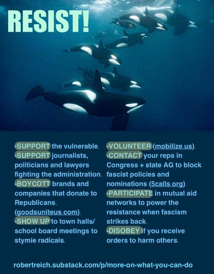 An underwater scene featuring several orcas swimming together, with the word "RESIST!" prominently displayed at the top. Below are several action points: 

-SUPPORT the vulnerable.
-SUPPORT journalists, politicians and lawyers fighting the administration. fascist policies and
-BOYCOTT brands and companies that donate to Republicans.
(goodsuniteus.com).
-VOLUNTEER (mobilize.us).
-CONTACT your reps in
Congress + state AG to block nominations (calls.org).
-PARTICIPATE in mutual aid networks to power the resistance when fascism strikes back.
-SHOW UP to town halls/ school board meetings to stymie radicals.
-DISOBEY if you receive orders to harm others.
robertreich.substack.com/p/more-on-
what-you-can-do