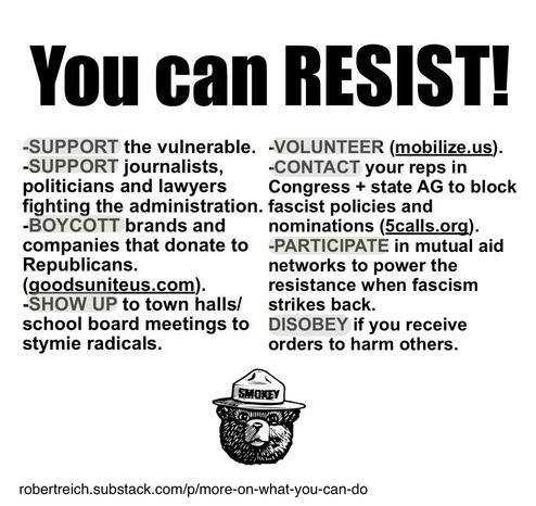 The image features a bold text heading "You can RESIST!" followed by a list of suggestions for activism. At the bottom is an image of Smokey the bear. 

-SUPPORT the vulnerable.
-SUPPORT journalists, politicians and lawyers fighting the administration. fascist policies and
-BOYCOTT brands and companies that donate to Republicans.
(goodsuniteus.com).
-VOLUNTEER (mobilize.us).
-CONTACT your reps in
Congress + state AG to block nominations (calls.org).
-PARTICIPATE in mutual aid networks to power the resistance when fascism strikes back.
-SHOW UP to town halls/ school board meetings to stymie radicals.
-DISOBEY if you receive orders to harm others.
robertreich.substack.com/p/more-on-
what-you-can-do
