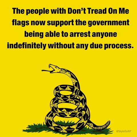 The people with Don’t Tread On Me
flags now support the government
being able to arrest anyone 
indefinitely without any due process.

[Yellow background and a coiled Rattlesnake, indicative of the Gadsden flag]