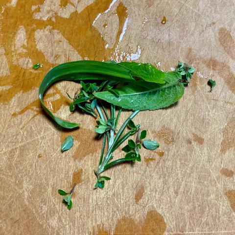 A collection of fresh herbs including long green leaves and small green sprigs, placed on a wooden cutting board with some water droplets and stains visible.