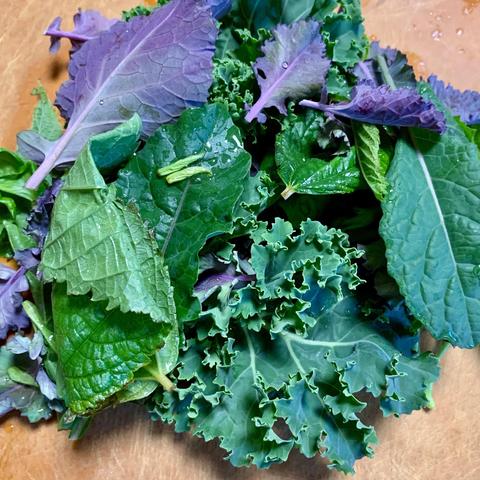 A variety of fresh leafy greens, including dark green kale, purple kale, and other assorted greens, arranged together on a wooden surface. Some leaves appear slightly wet, indicating freshness.