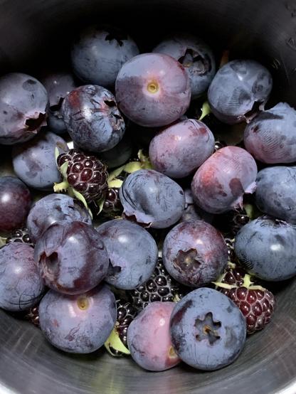 A silver bowl of big blueberries and black raspberries. 