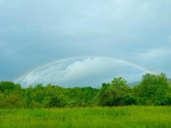 A rainbow through heavy clouds above deep green trees and grass.