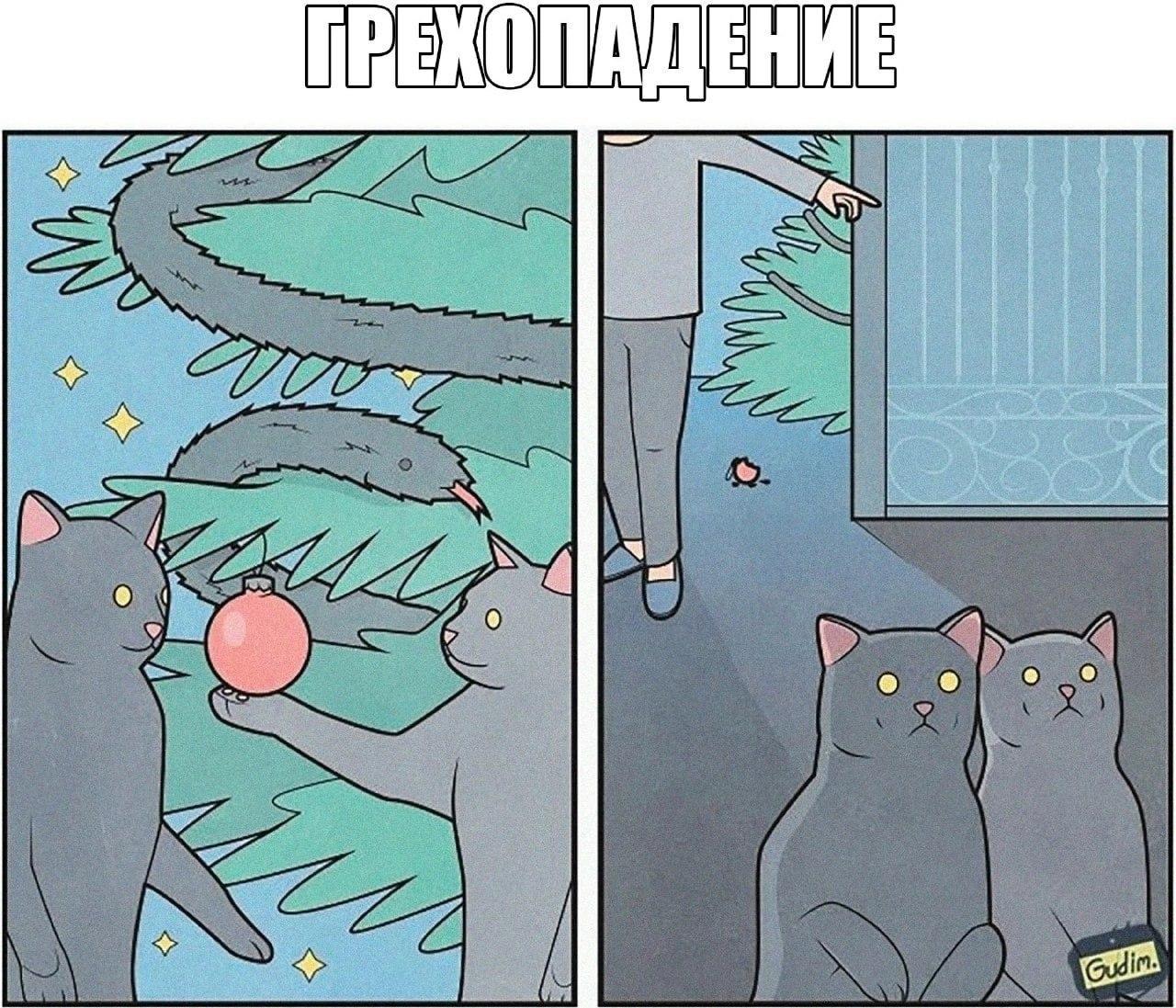 Image/photo