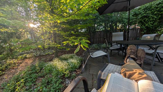 A view of my backyard featuring late afternoon sun slanting through trees, a patch of flowering woodruff, patio furniture, my crossed legs and book in my lap