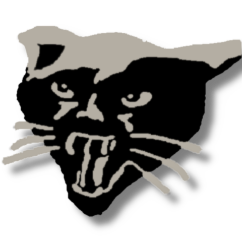 A vector art turned into bitmap rendition (Mastodon doesn't support SVG) of a black cat