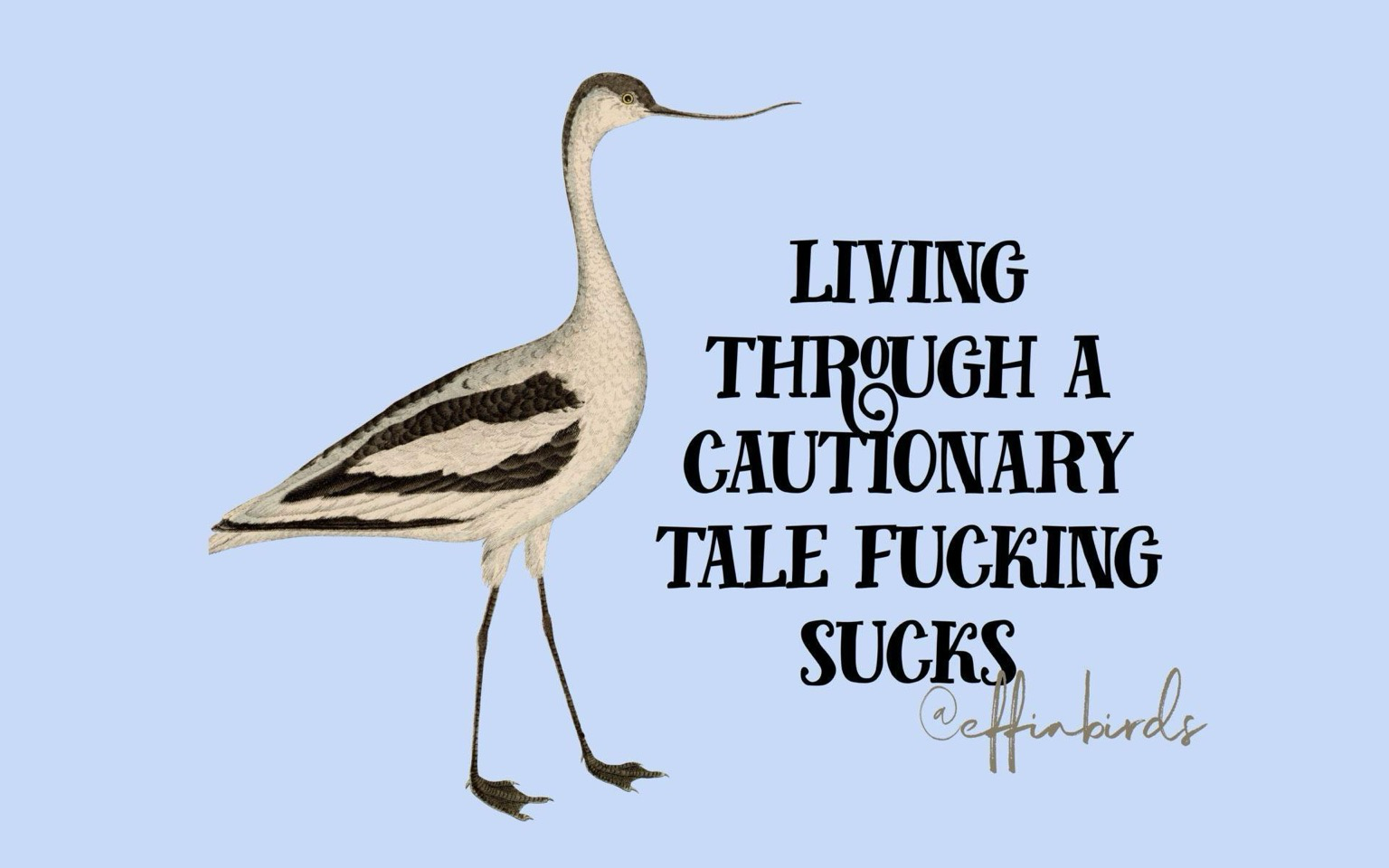 A long-legged black and white bird walks across the meme, captioned Living through a cautionary tale fucking sucks.