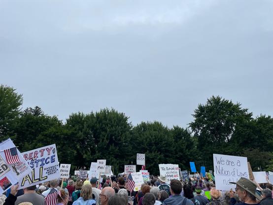 Signs at a political rally. #NoKings 