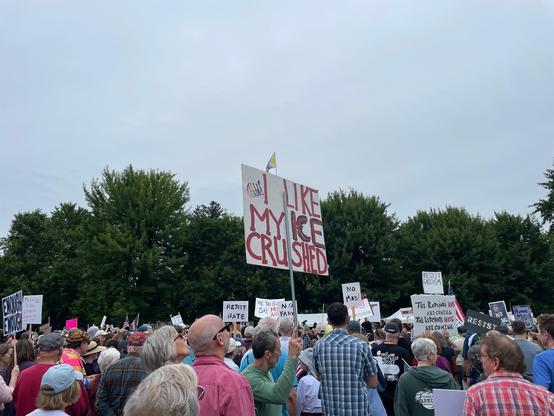 A sign at a rally says: “I like my ICE crushed”.