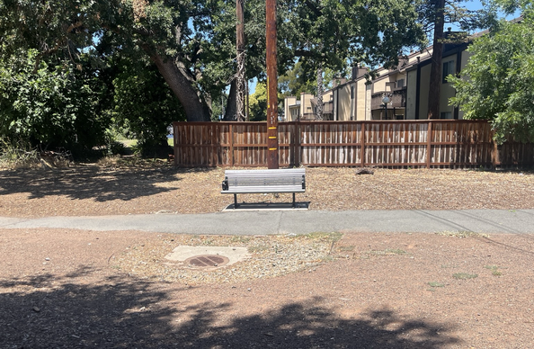 A bench in the noon sun. A wooden fence is behind, a jogging path is in front, large trees are on the fringe, and a big splotch of shade is in the far front.
