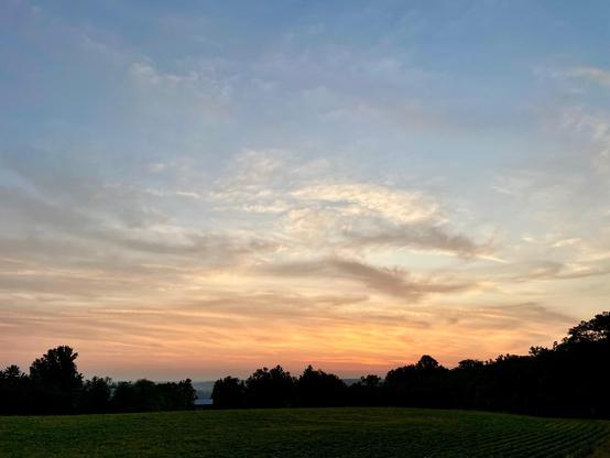 The clouds above a dark tree line are changed to orange and gold as the sun begins to rise.