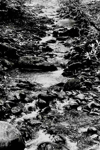 b&w of a small stream falling thru stones and pebbles