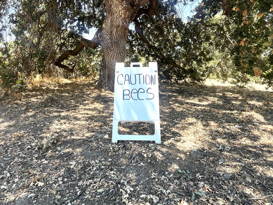 A sandwich board at the edge of a wood with a handwritten warning:  "CAUTION"  BEES