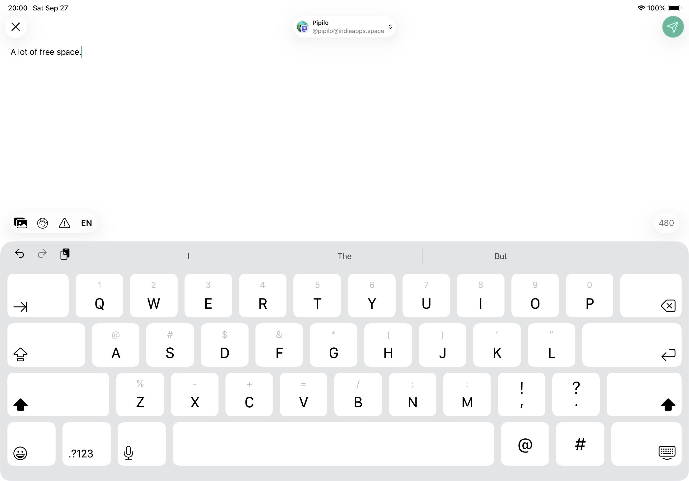 Screenshot of post composer on iPad.