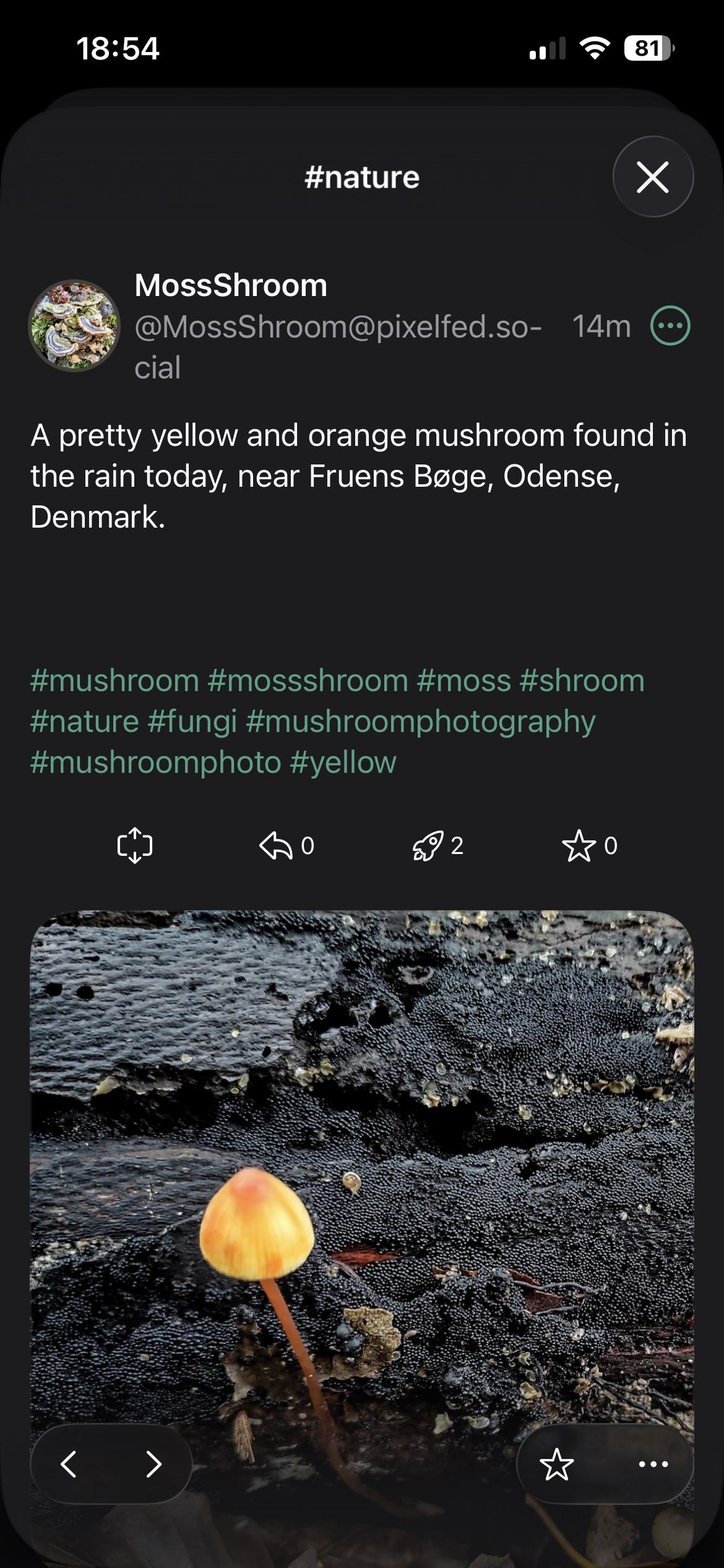 Screenshot of hashtag timeline with Liquid Glass design in dark mode.