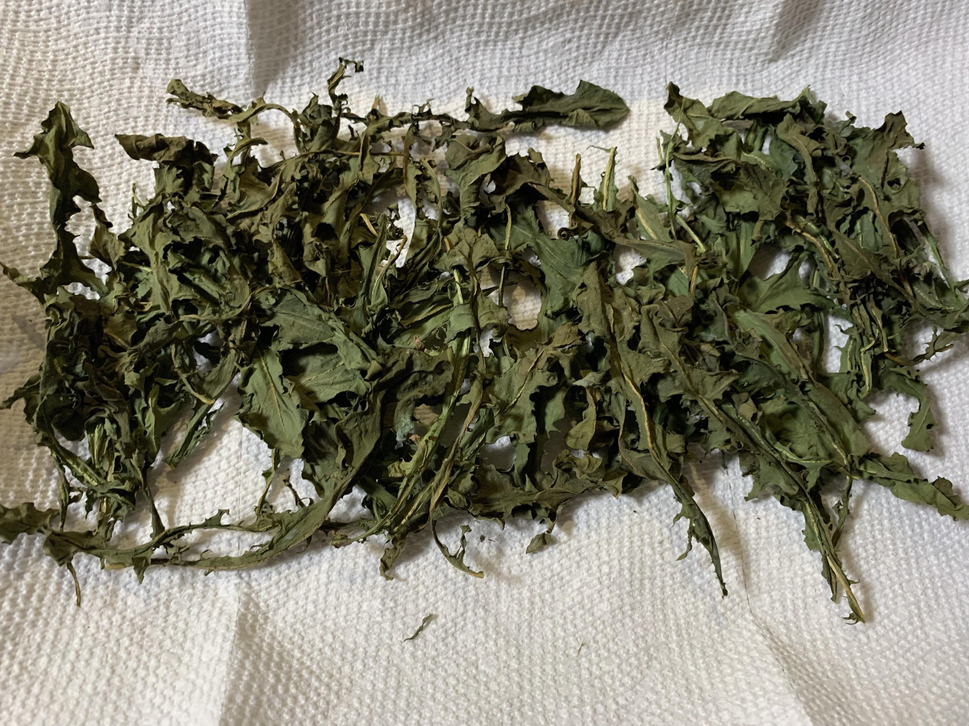 Dried green leaves dandelion greens arranged on a paper towel. This is the after pic from the image before.