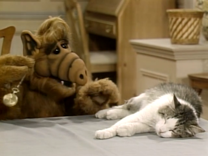 the alien ALF (1986-89 seasons) sitting at breakfast table, with a sleeping cat in front of him