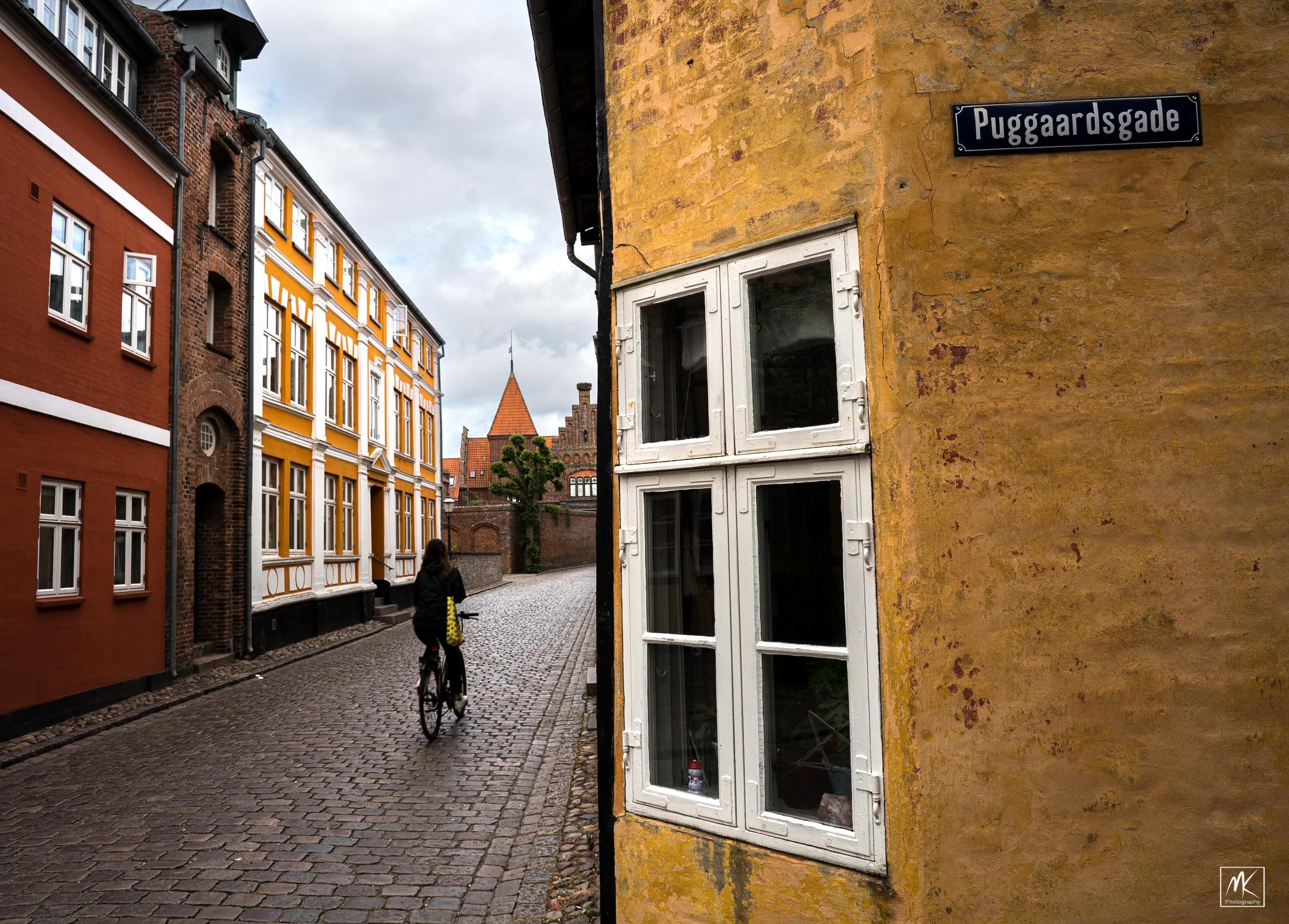 Color photo of a person riding away on a bicycle down a cobblestone street past buildings painted yellow & red in a small Danish town.