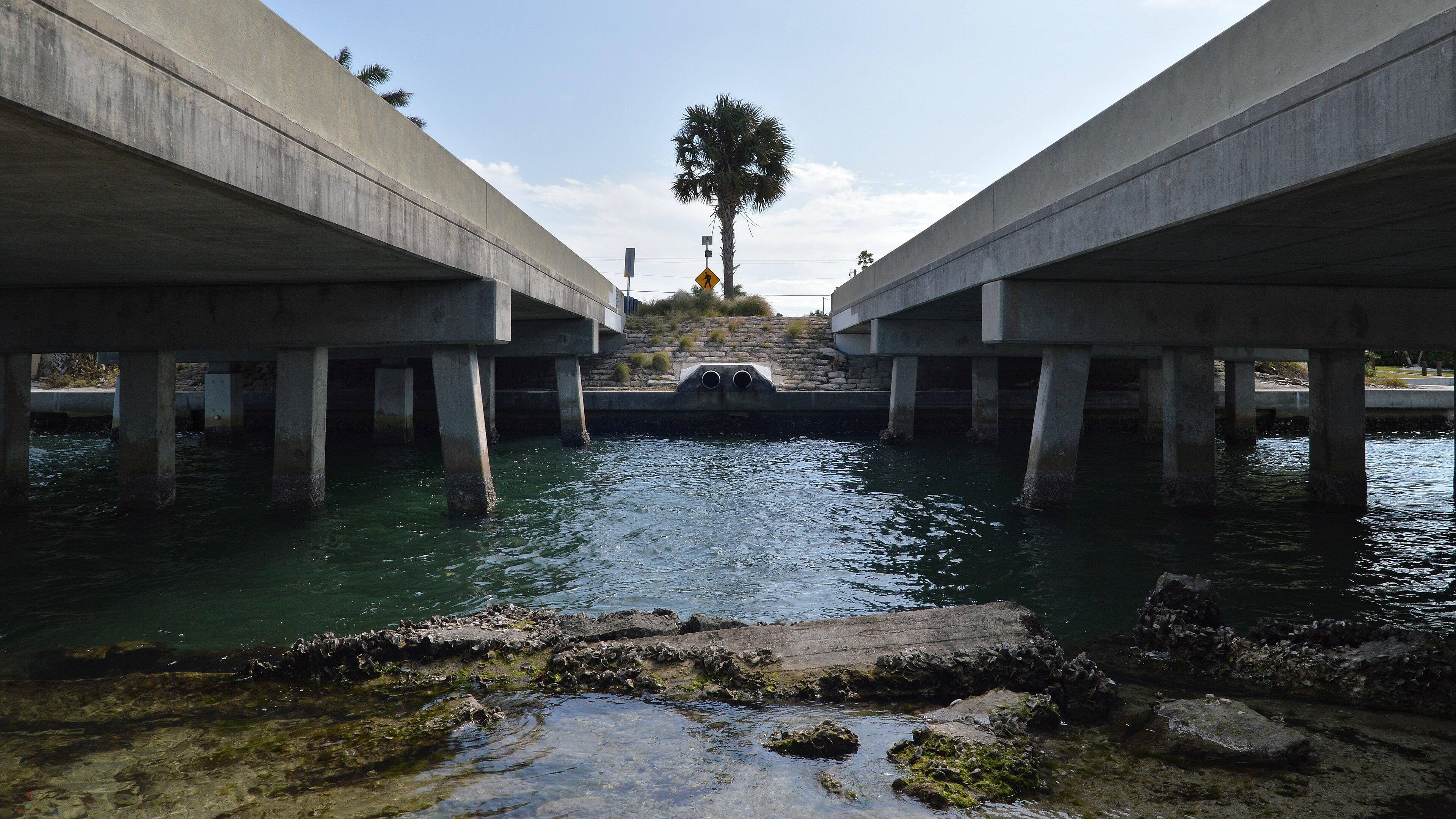 A photo looking between two road bridges crossing a body of water. There is a palm tree centered between them on the far side.