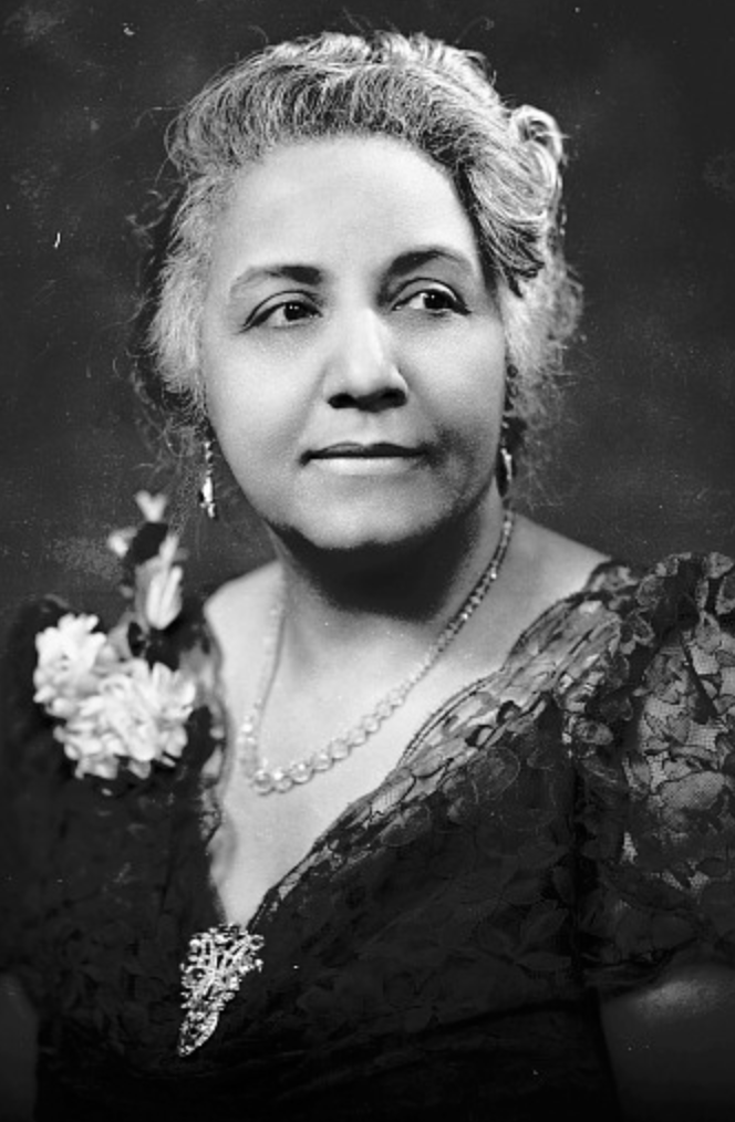 Charlotte Wallace Murray, from an undated photograph owned by the National Museum of American History; a middle-aged Black woman with grey hair in a set style, wearing a dark lacy gown with a v-neckline and a corsage