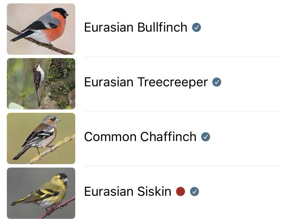 A list of the bird calls identified by the Merlin Bird ID app, with a stock photo of each species alongside.