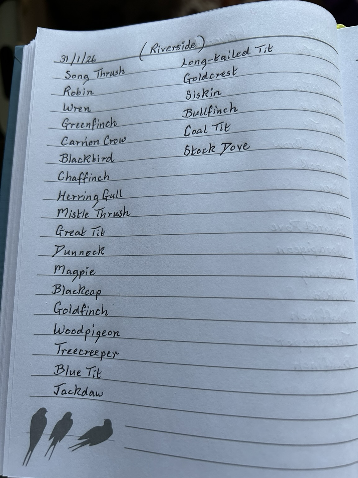 A handwritten list of the bird calls identified via the Merlin Bird ID app in my notebook.