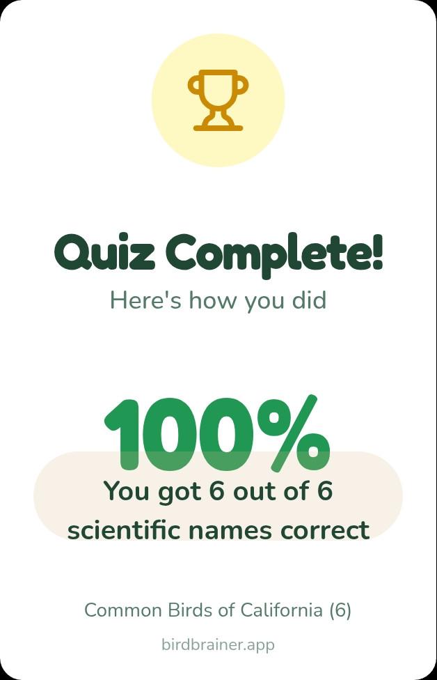 Text below an image of a celebratory cup:

Quiz Complete!

100% You got 6 out of 6 scientific names correct

Common Birds of California (6) birdbrainer.app