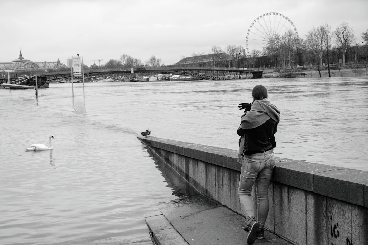 someone looking at fowl on a flooded river