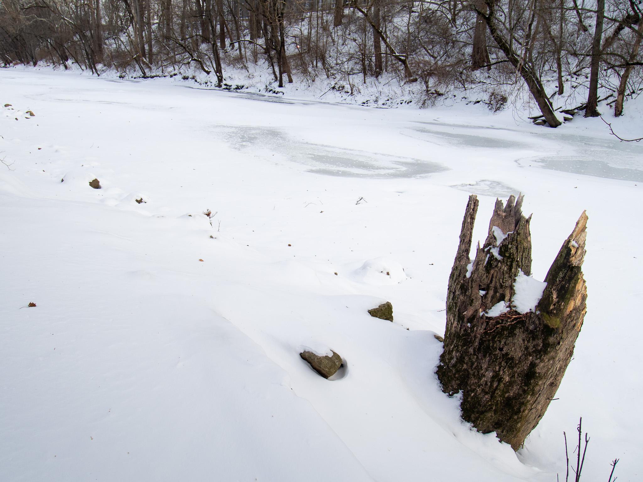 A frozen river mostly covered in snow. The foreground is a snowy bank on the left, and one tree stump, broken at the top because the tree fell and was not cut. The background is the opposite bank of the river, covered in trees and brush, brown and bare, with snow on the ground.