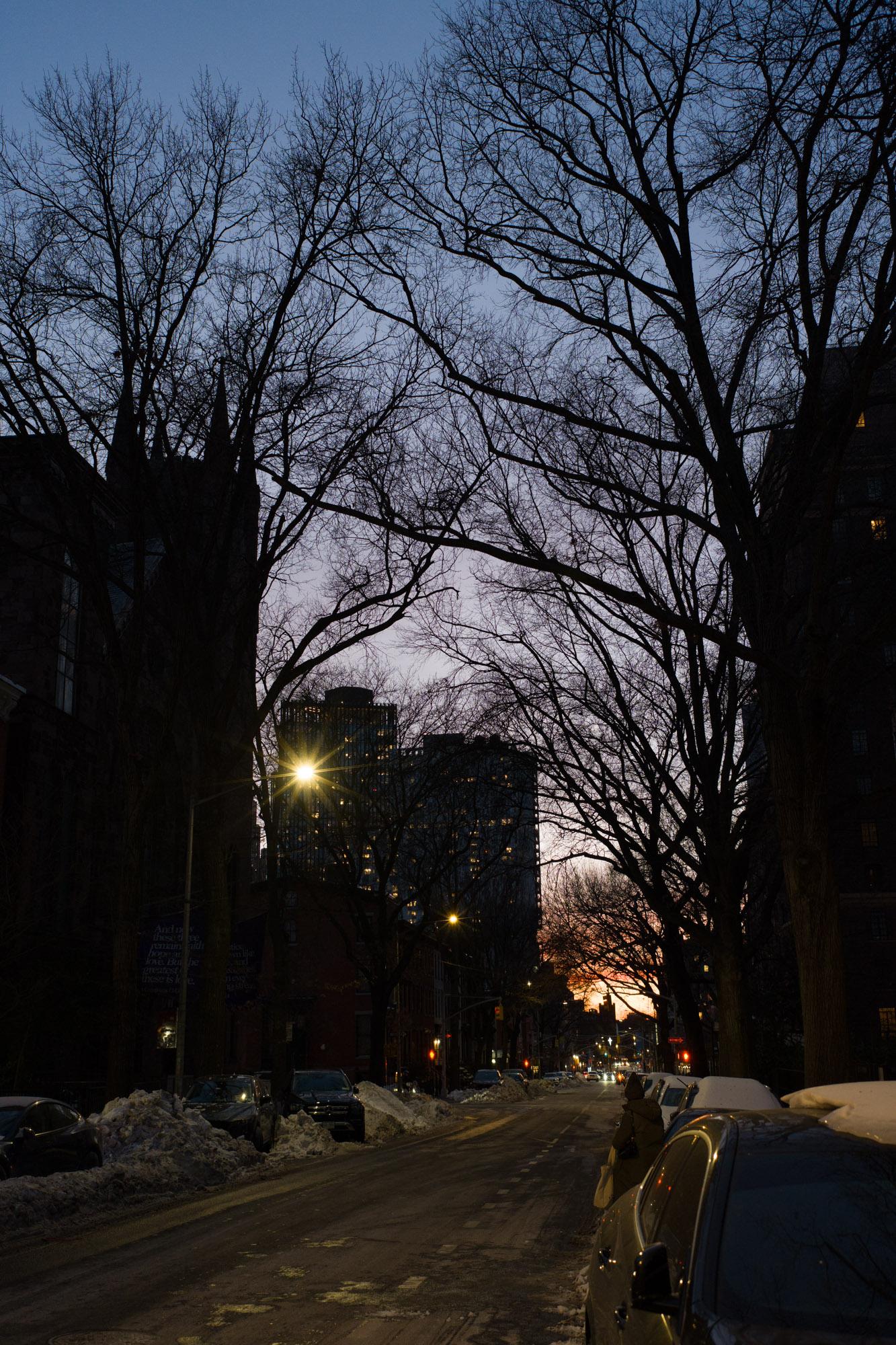 sunset behind lafayette trees