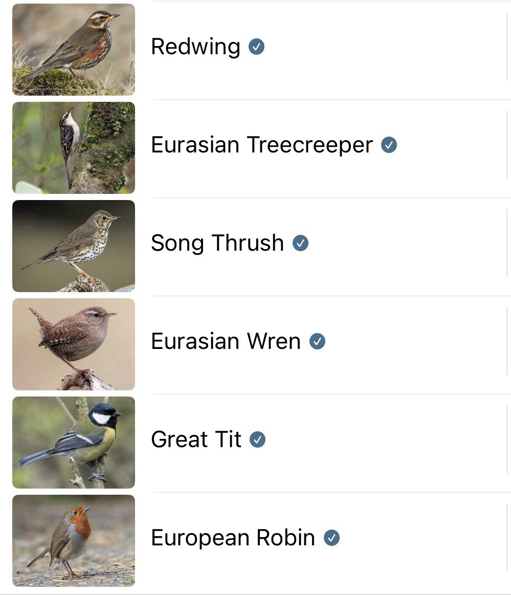 A list of the bird calls identified by the Merlin Bird ID app, with a stock photo of each species alongside.