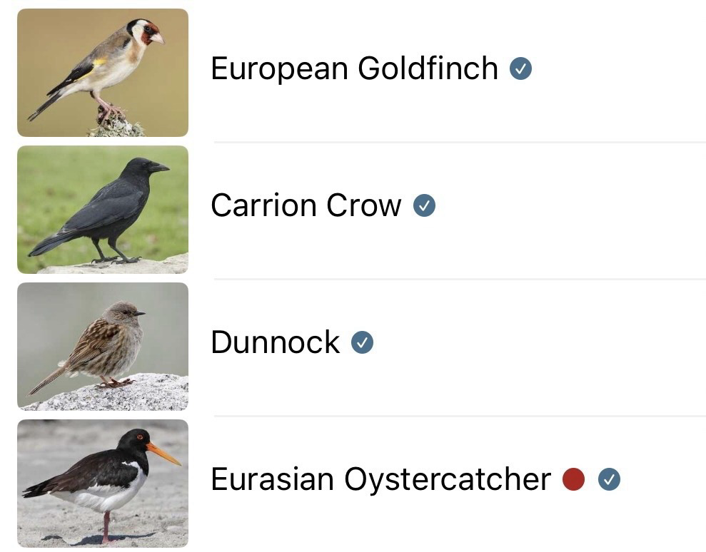 A list of the bird calls identified by the Merlin Bird ID app, with a stock photo of each species alongside.