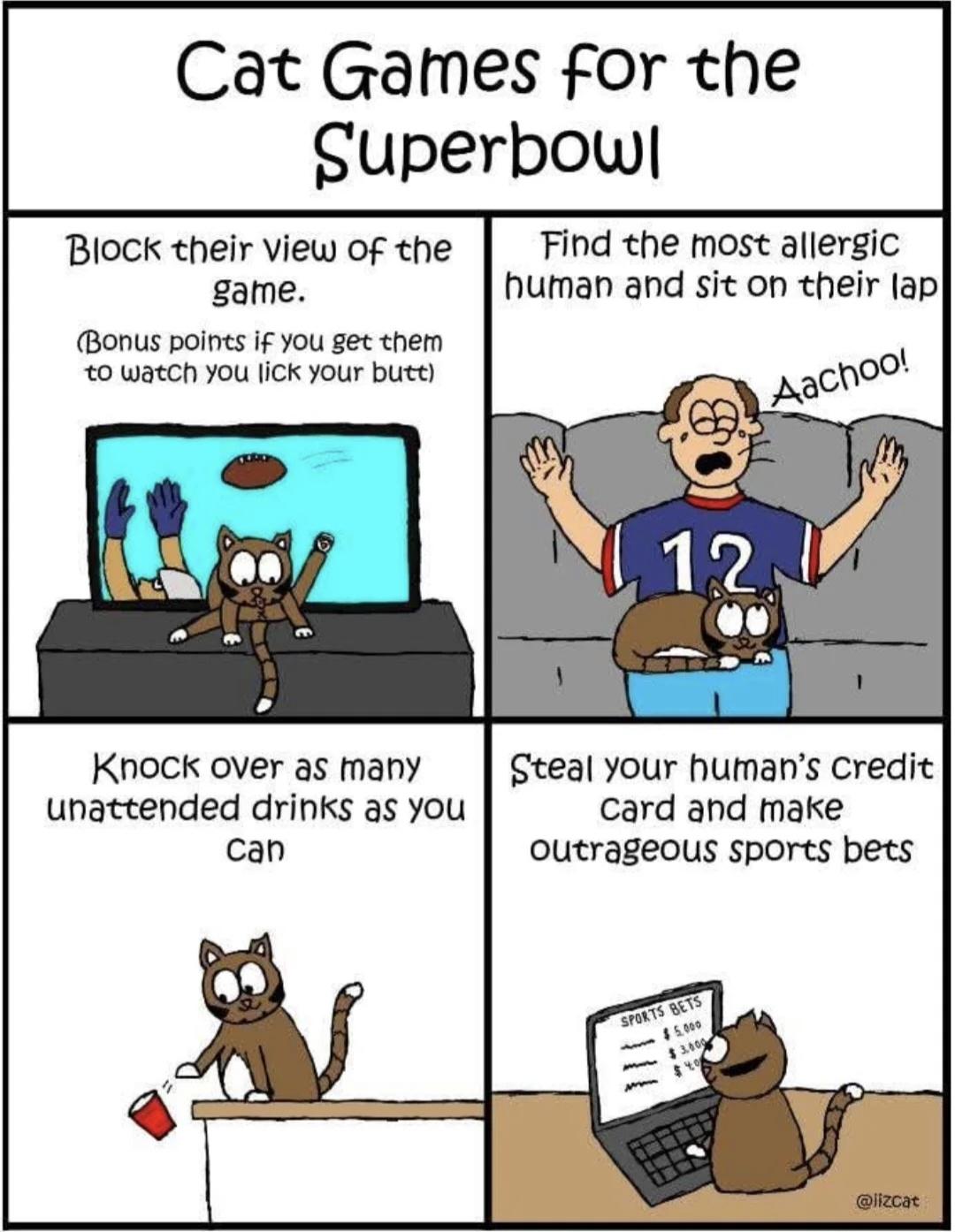 Four drawings of cats.
1.Block their view of the game.  Bonus point if you make them watch you lick your butt.
2. Find the most allergic human an sit on his lap.
3.Knock over as many unattended drinks as you can. 
4. Steal your human credit card and make outrageous sports bets.