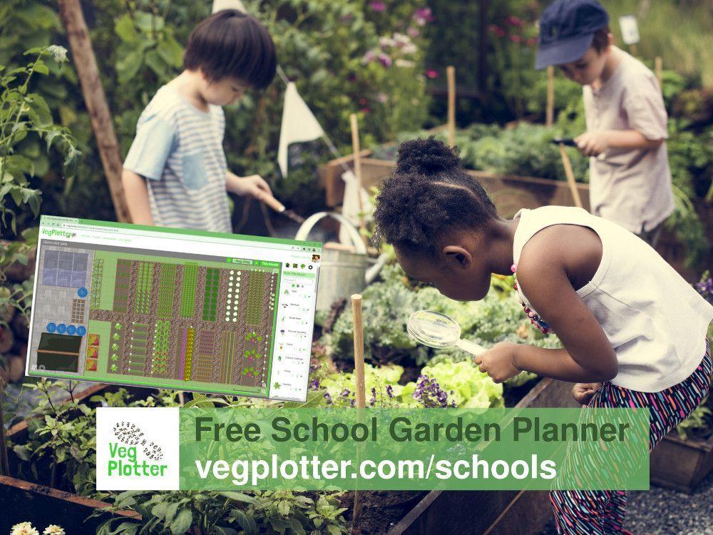 school kids enjoying the school veggie patch