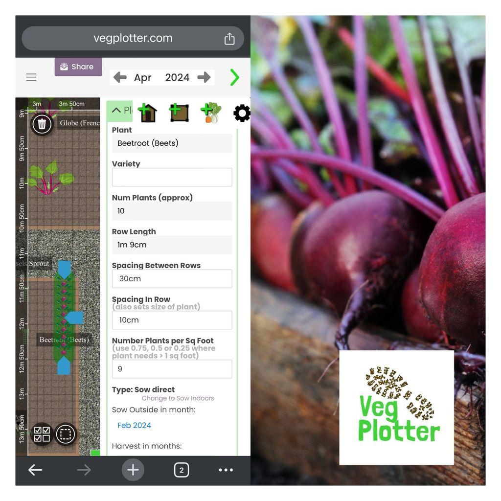 a photo of red beetroots harvested in a wooden box with a screen shot of vegplotter
