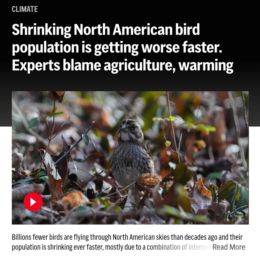Posted media