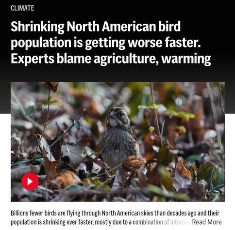 Posted media