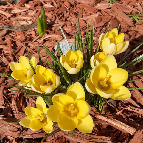 Posted media