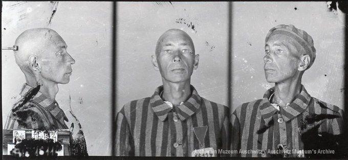 A mugshot registration photograph from Auschwitz. A man with a shaved head wearing a striped uniform photographed in three positions (profile and front with bare head and a photo with a slightly turned head with a hat on). The prisoner number is visible on a marking board on the left.