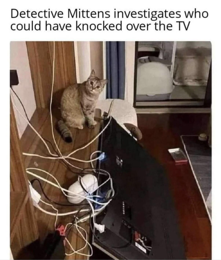 Posted media