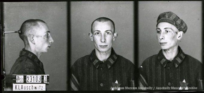 A mugshot registration photograph from Auschwitz. A man with a shaved head wearing a striped uniform photographed in three positions (profile and front with bare head and a photo with a slightly turned head with a hat on). The prisoner number is visible on a marking board on the left.
