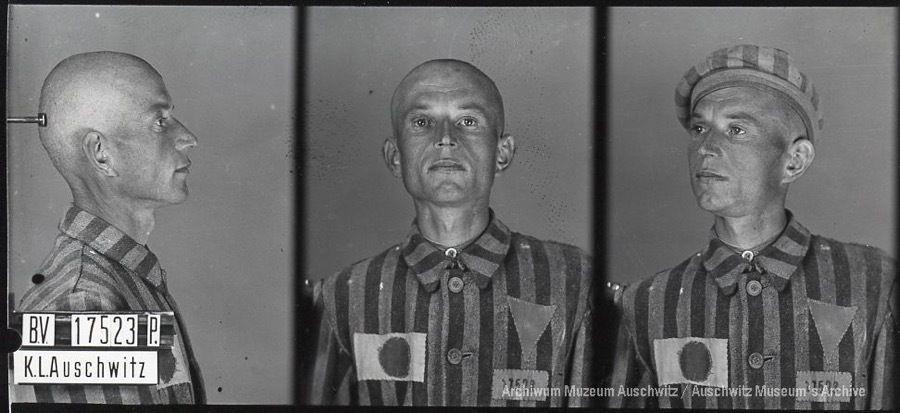 A mugshot registration photograph from Auschwitz. A man with a shaved head wearing a striped uniform photographed in three positions (profile and front with bare head and a photo with a slightly turned head with a hat on). The prisoner number is visible on a marking board on the left.