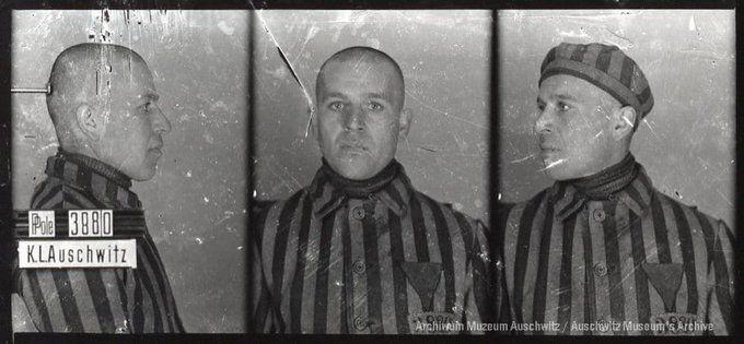 A mugshot registration photograph from Auschwitz. A man with a shaved head wearing a striped uniform photographed in three positions (profile and front with bare head and a photo with a slightly turned head with a hat on). The prisoner number is visible on a marking board on the left.